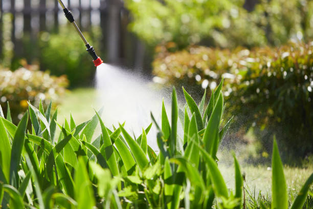 24/7 Emergency Mosquito Control experts in Buffalo, OK